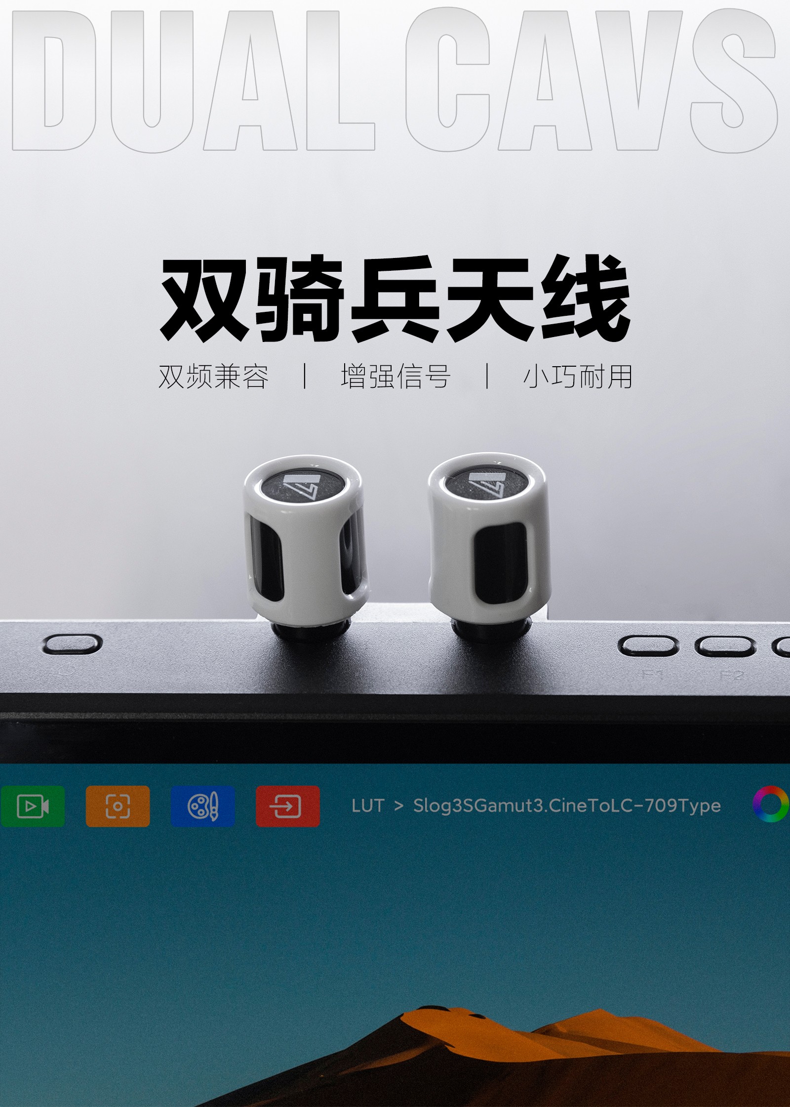 jinnianhui67