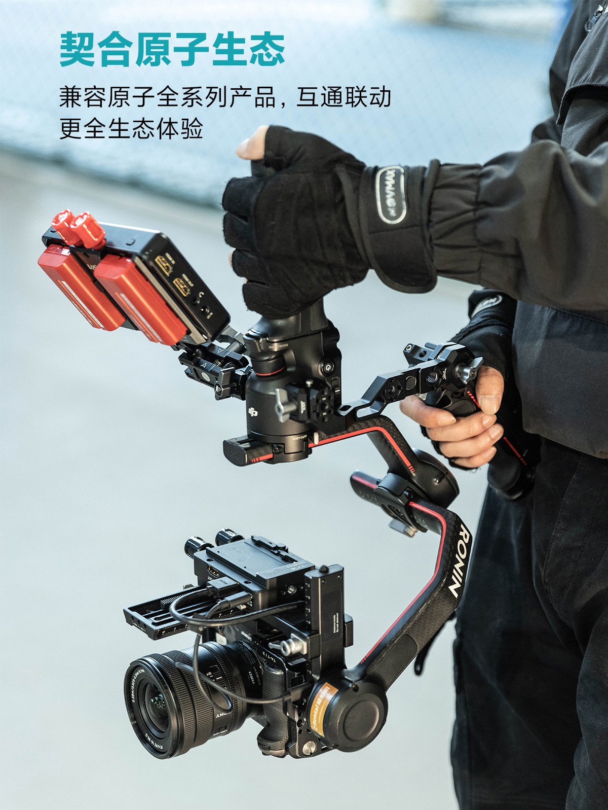 jinnianhui67 APP